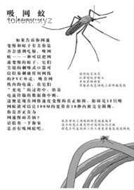 武夷山探险惊魂记：谣言止于智者，安全铭记于心🚫假消息